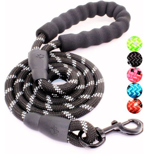 BAAPET 5FT Reflective Dog Leash