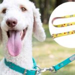 Best Custom Dog Leash