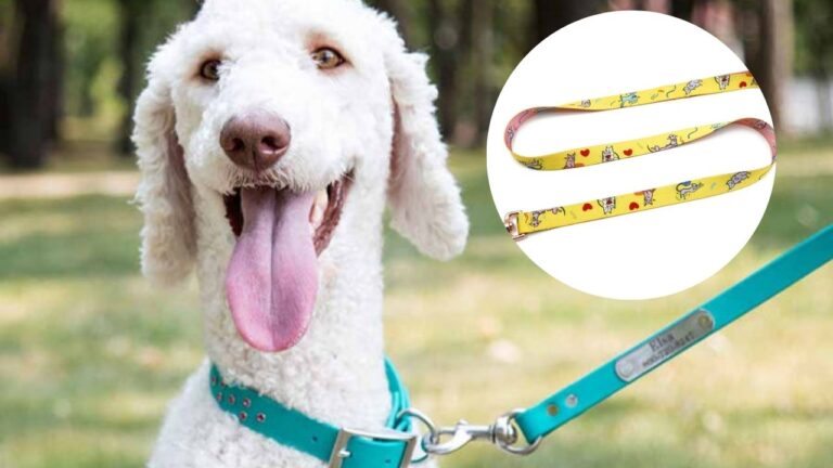 Best Custom Dog Leash