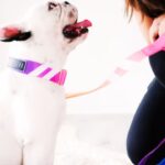 Best Dog Leash