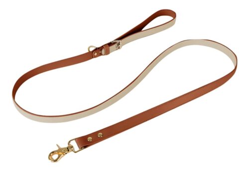 Best Vegan Leather Dog Leashes