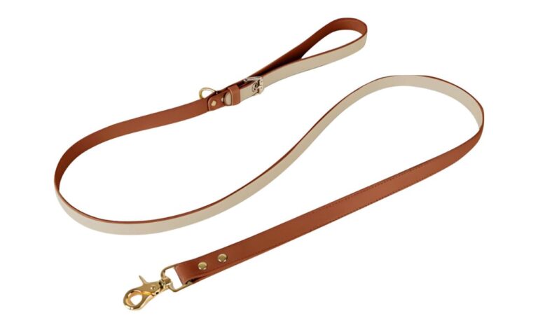 Best Vegan Leather Dog Leashes