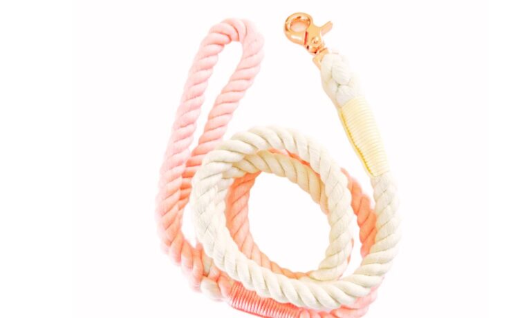 Cotton Rope Dog Leash