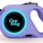 Dog Leash With Flashlight