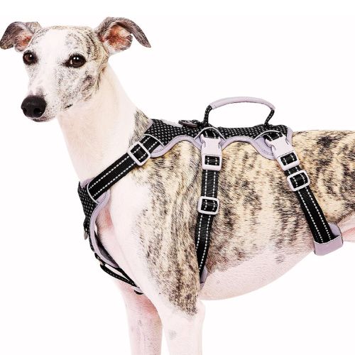 Escape Proof Dog Harness (Black, Size L)