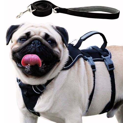Escape Proof Dog Harness and Leash Set