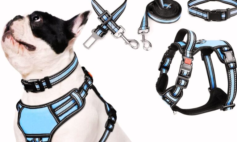 Escape Proof Dog Leash