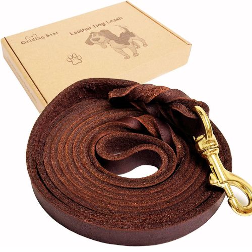 Guiding Star Leather Dog Leash – 8ft x ½ inch (Brown)