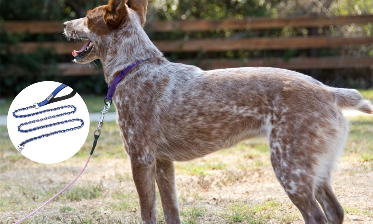 Indestructible Dog Leash