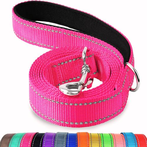Joytale Double-Sided Reflective Dog Leash (6 FT, Hotpink)
