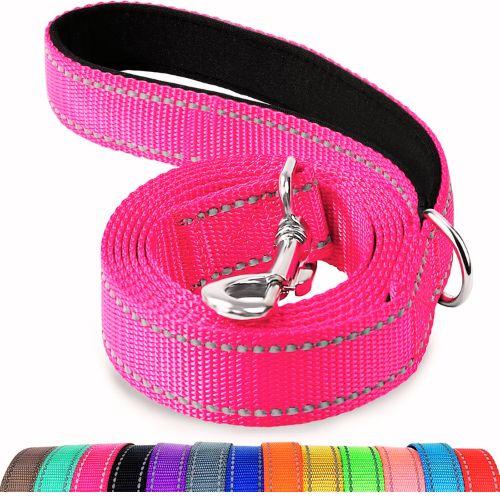 Joytale Double-Sided Reflective Dog Leash, 6FT – Hotpink