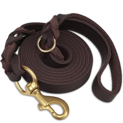 Joytale Leather Dog Leash (6ft × 3/4", Brown)