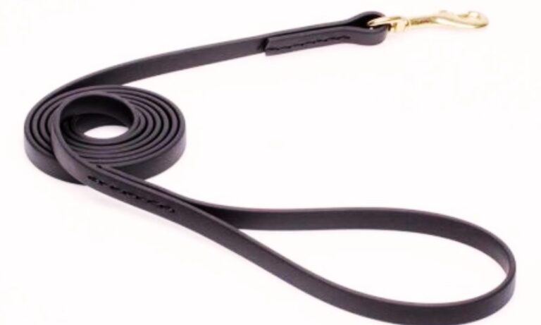 K9 Dog Leash in 2025