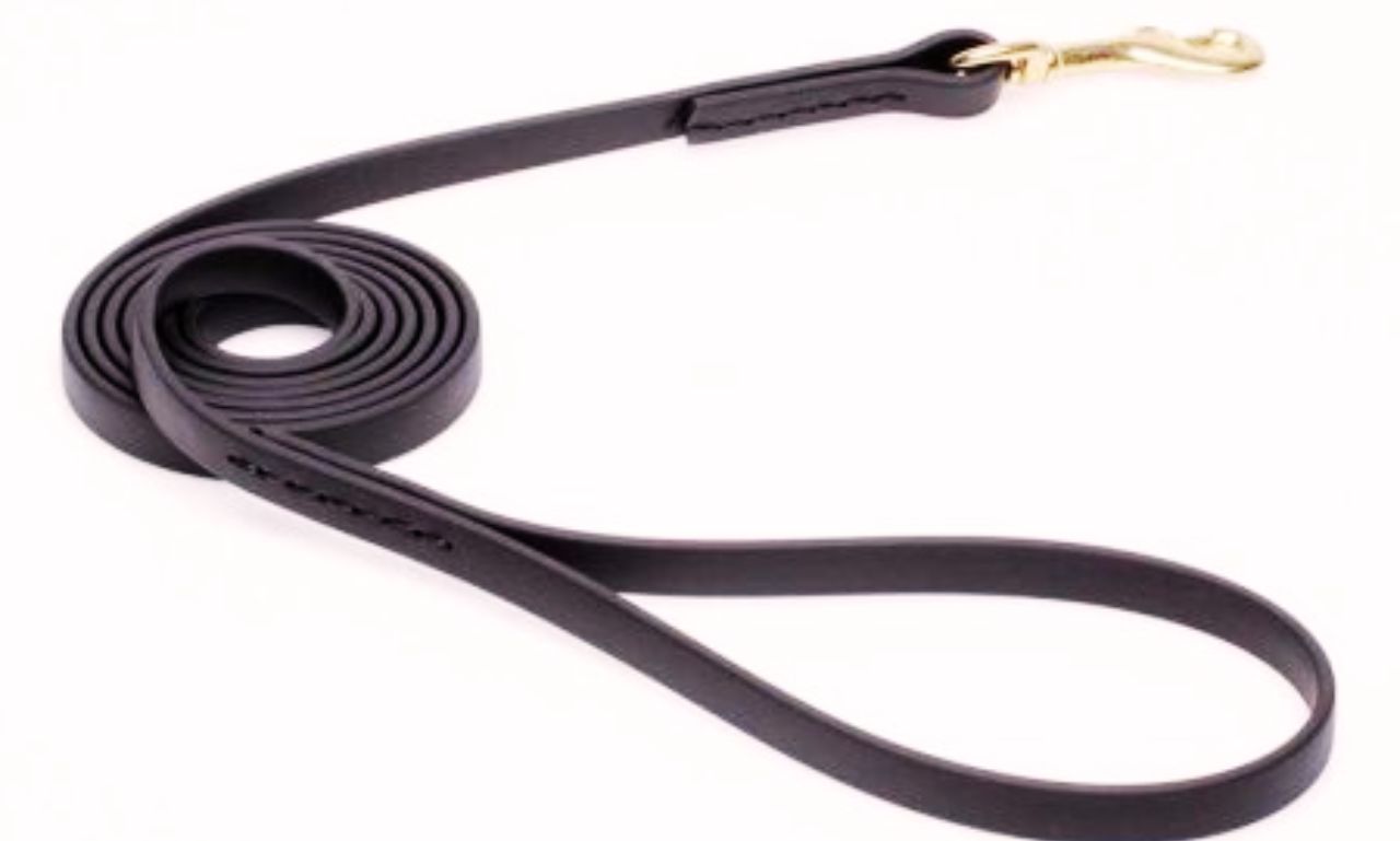 K9 Dog Leash in 2025