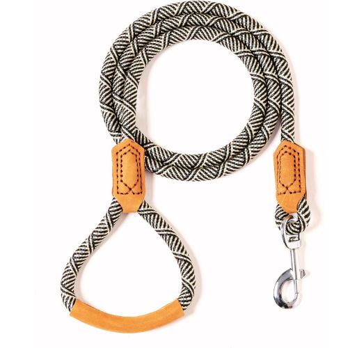 Mile High Life Premium Leather Handle Dog Leash (48-Inch, White)
