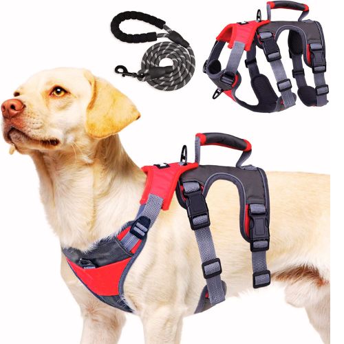 PUPTECK Escape Proof Dog Harness and Leash Set (2025)