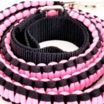 Paracord Dog Leash 2025
