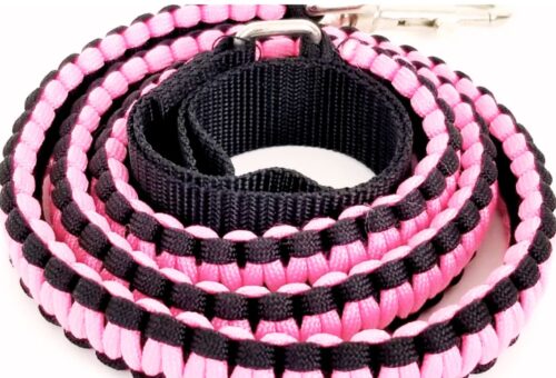 Paracord Dog Leash 2025