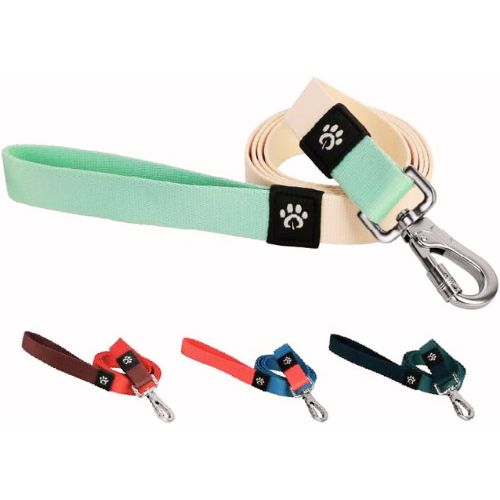 Pawereen Dog Leash – Eco-Friendly Recycled Polyester