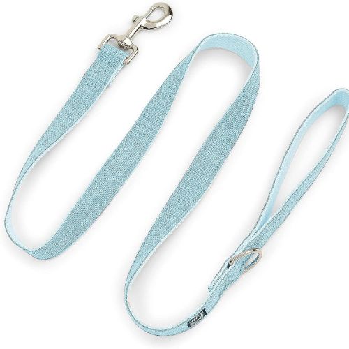 Pawsitive Hemp Dog Leash – Light Blue (Small)
