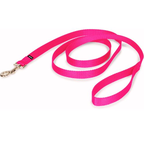 PetSafe Nylon Dog Leash – 3/4 in. x 6 ft., Raspberry Pink