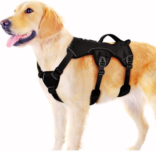 Rabbitgoo Escape Proof Dog Harness (Large, Black)