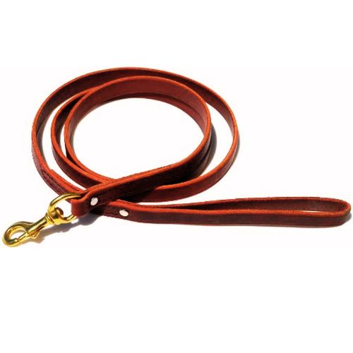 Ray Allen Mfg Signature K9 Standard Leather Leash 