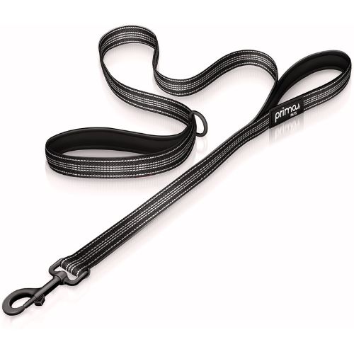 Reflective Nylon Dog Leash with Padded Double Handle