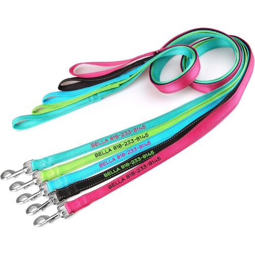 Taglory Personalized Reflective Nylon Dog Leash – 5/6 FT