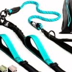 Tangle-Free Dog Leash in 2025