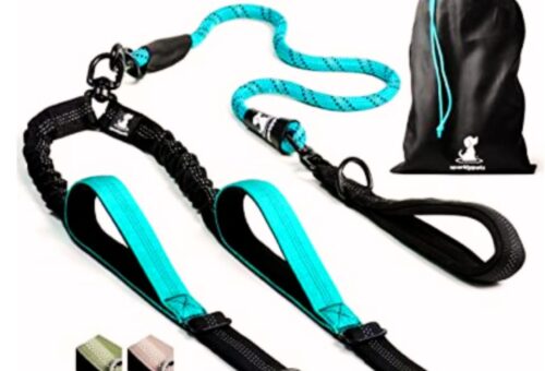 Tangle-Free Dog Leash in 2025