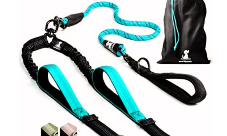 Tangle-Free Dog Leash in 2025