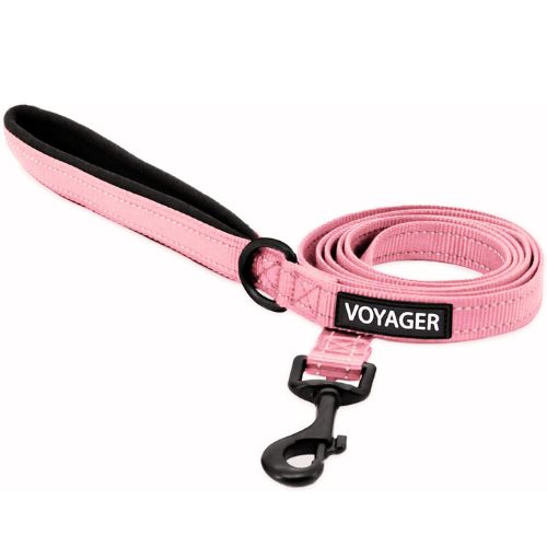Voyager Reflective Dog Leash with Neoprene Handle