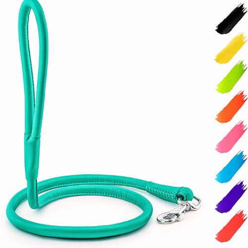 WAUDOG Rolled Leather Leash (4Ft x 0.3 in) – Mint