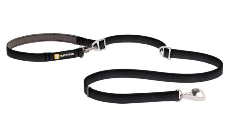 adjustable dog leash