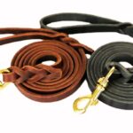 cheap dog leashes