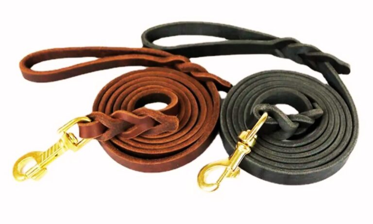 cheap dog leashes