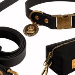 dog leash and collar combo