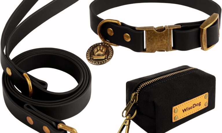 dog leash and collar combo