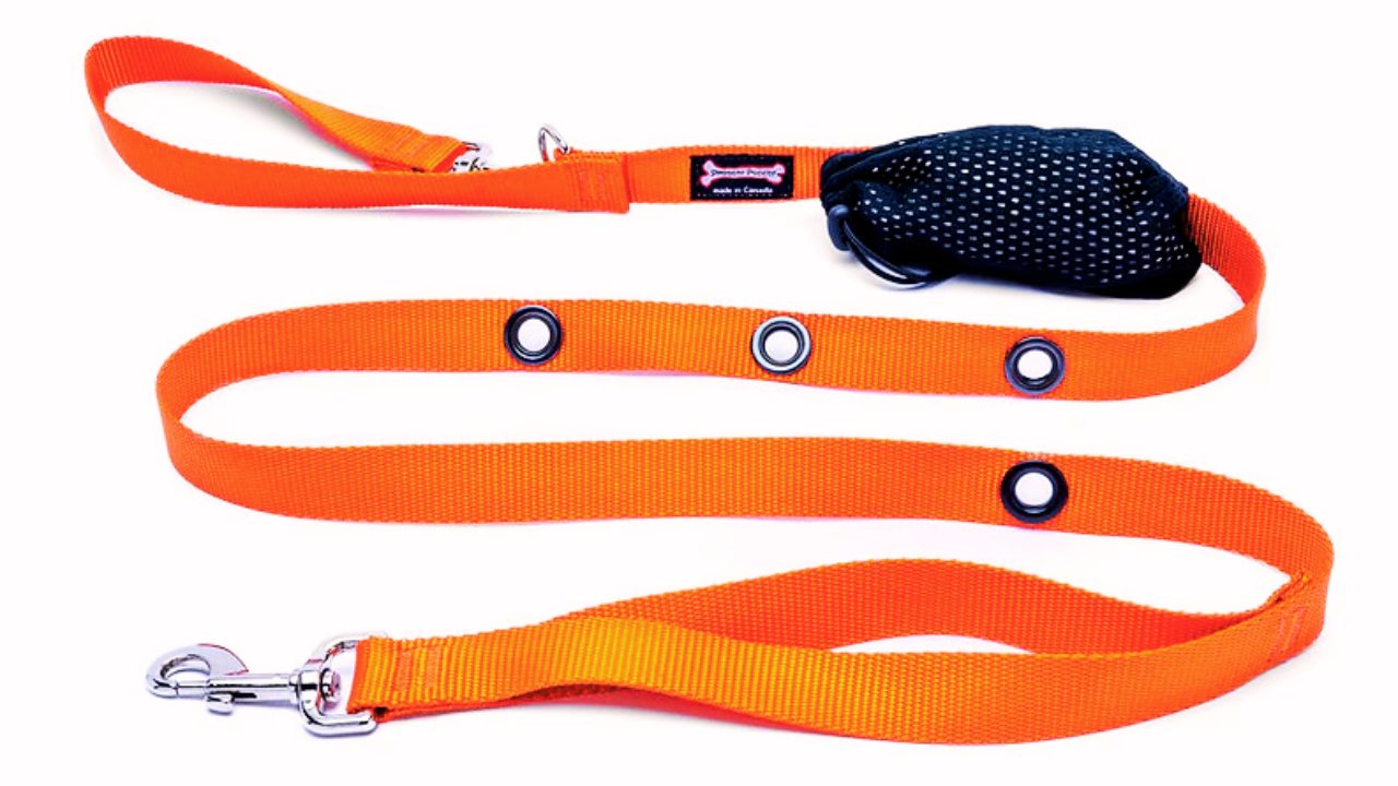 leash with poop bag holder