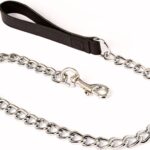 metal chain dog leash