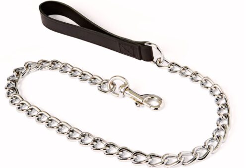 metal chain dog leash
