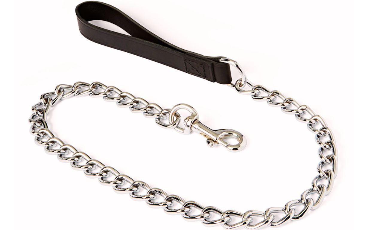 metal chain dog leash