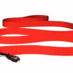 6 Ft Dog Leash 2025
