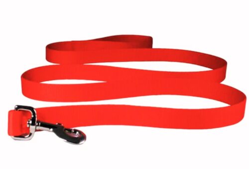 6 Ft Dog Leash 2025