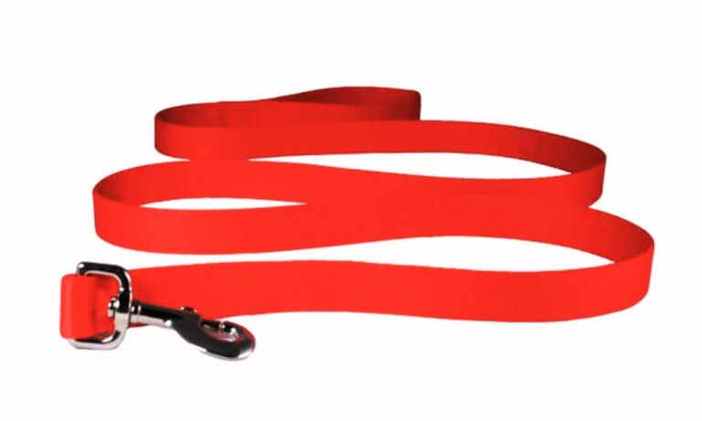 6 Ft Dog Leash 2025