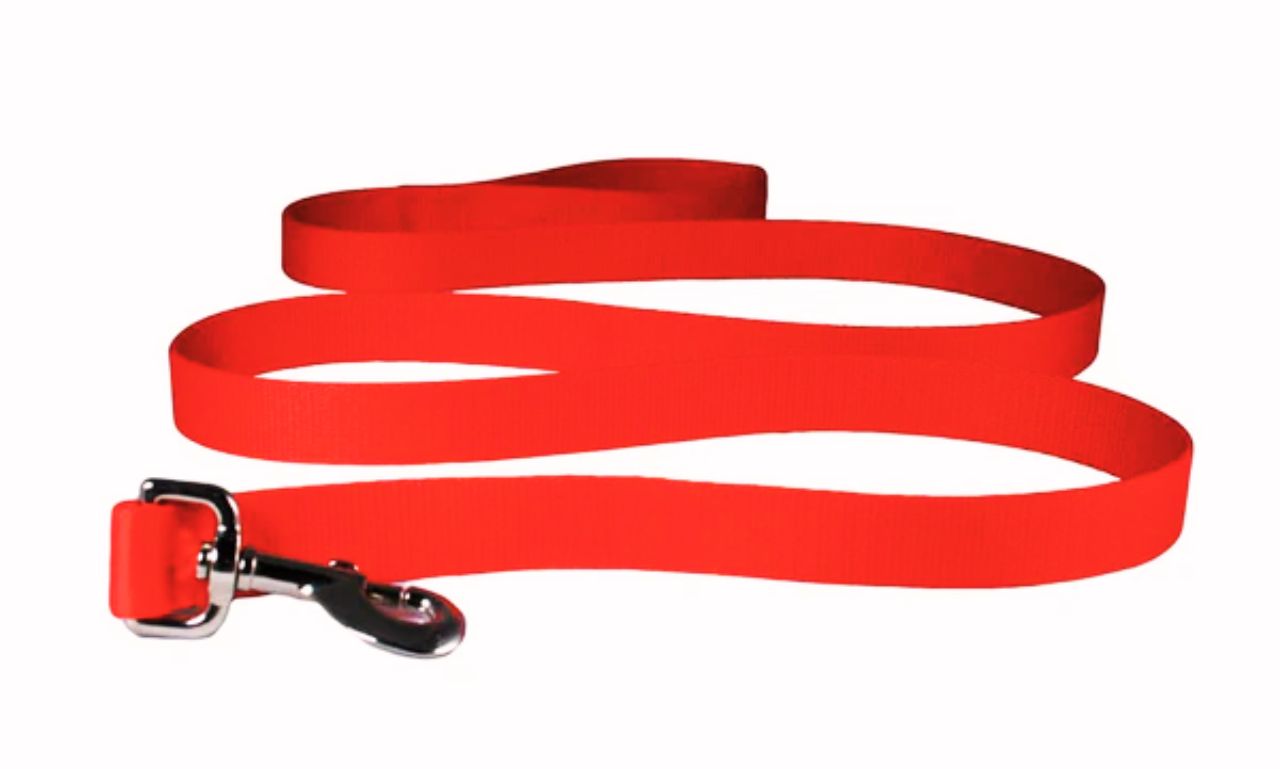 6 Ft Dog Leash 2025
