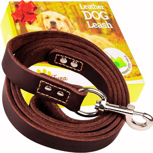 ADITYNA Leather Dog Leash 6 ft x 3/4 inch – Soft, Strong, Heavy Duty for Large & Medium Breeds