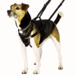 Anti-Pull Dog Leashes