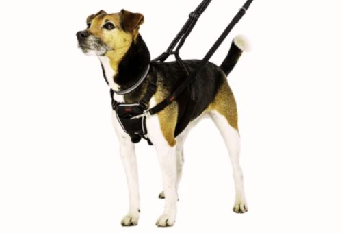 Anti-Pull Dog Leashes